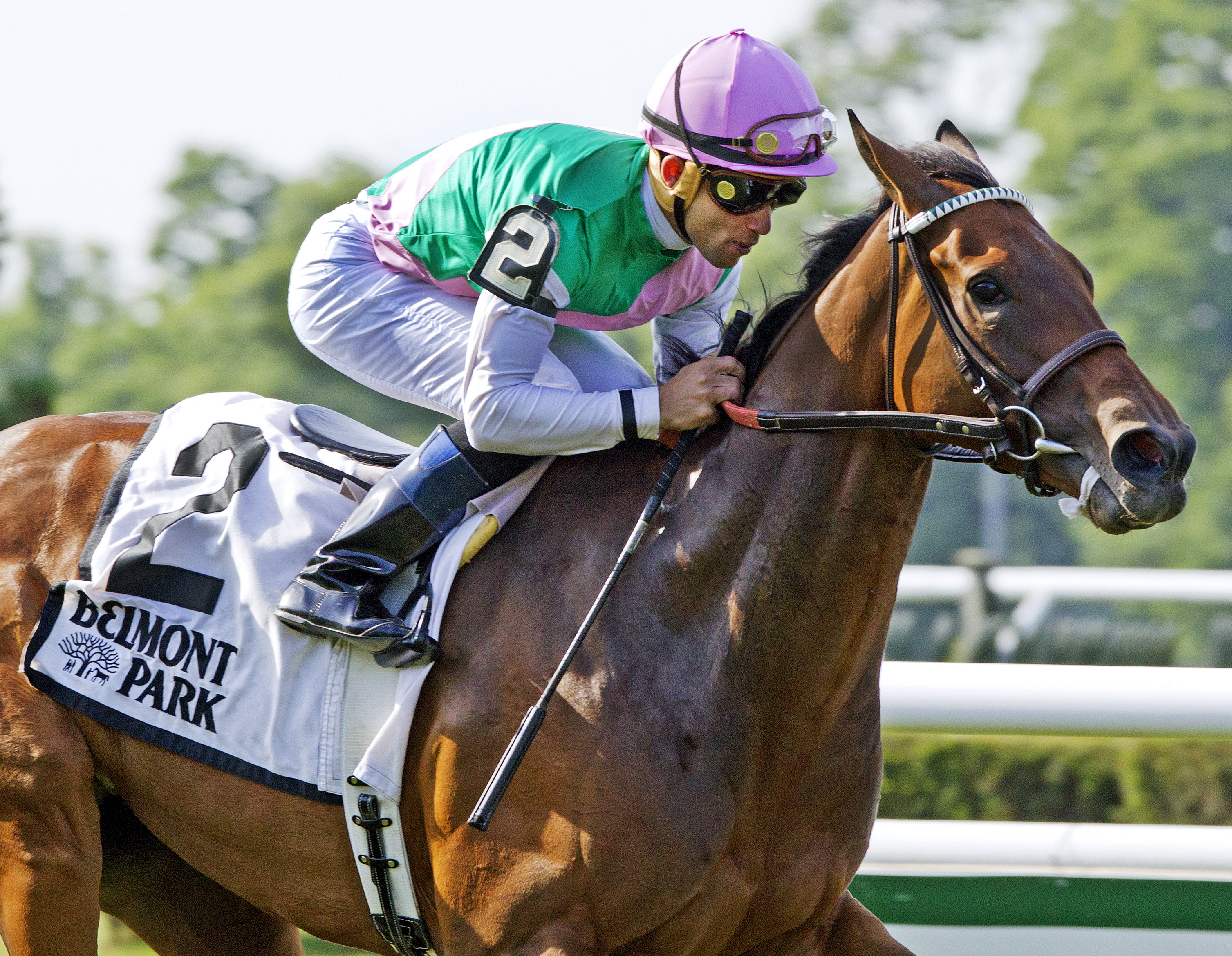 Riposte wins the New York Stakes