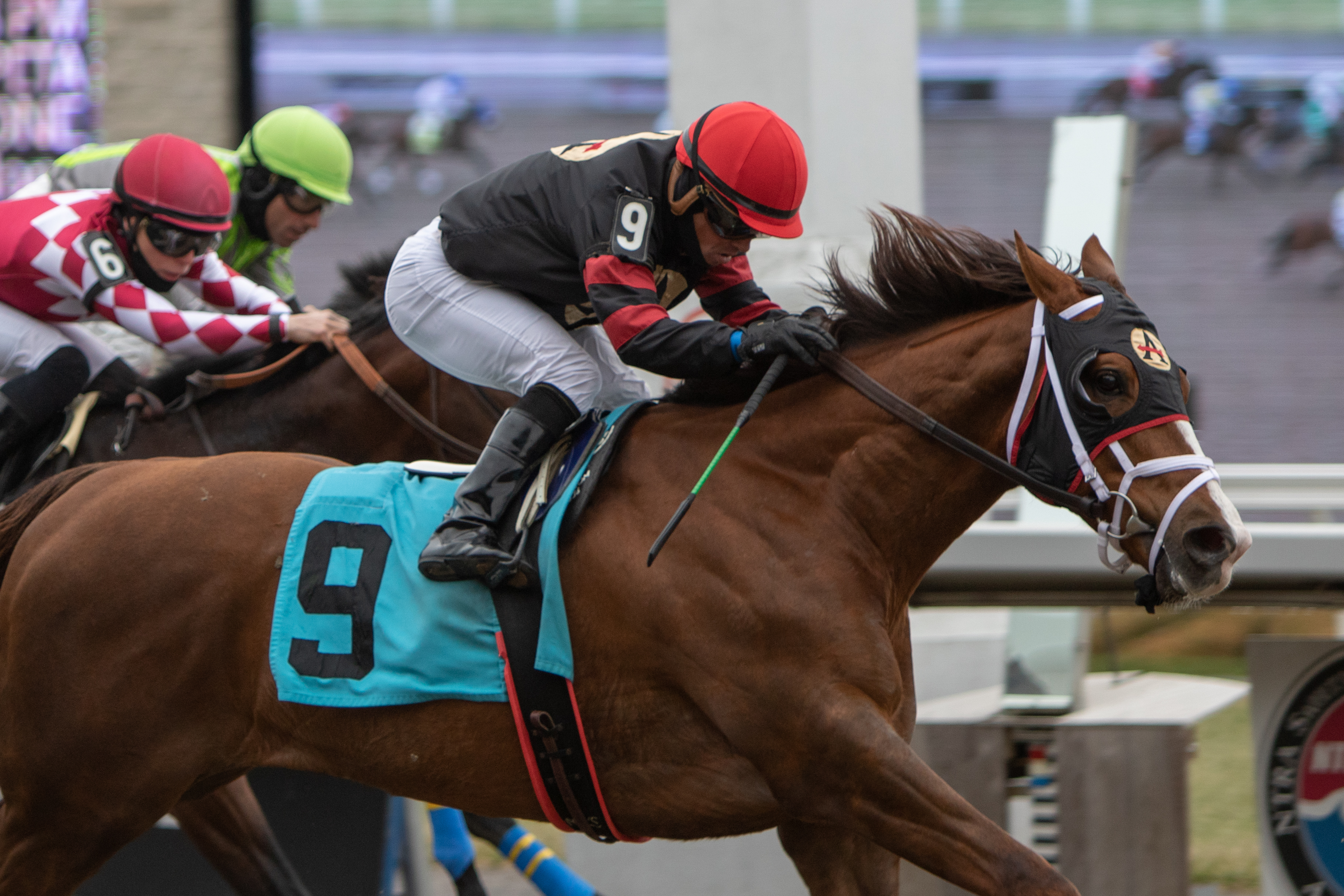 Riptide Rock wins at Woodbine on May 1 2022