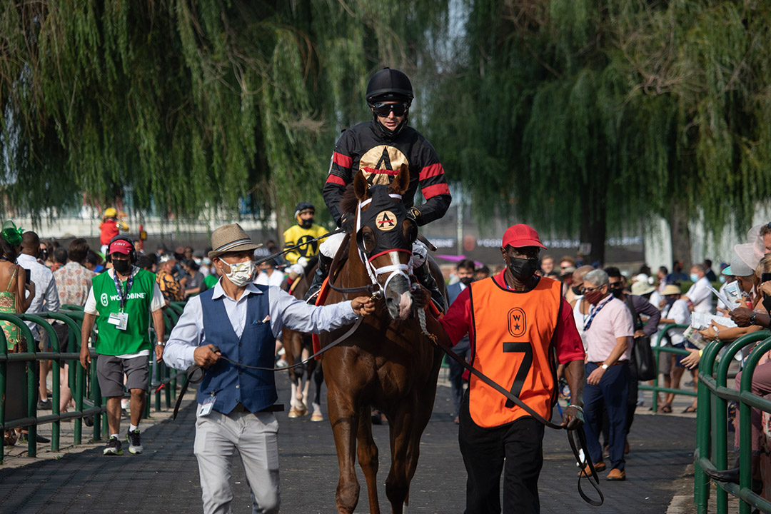 Riptide Rock at Woodbine Racetrack in August 2021