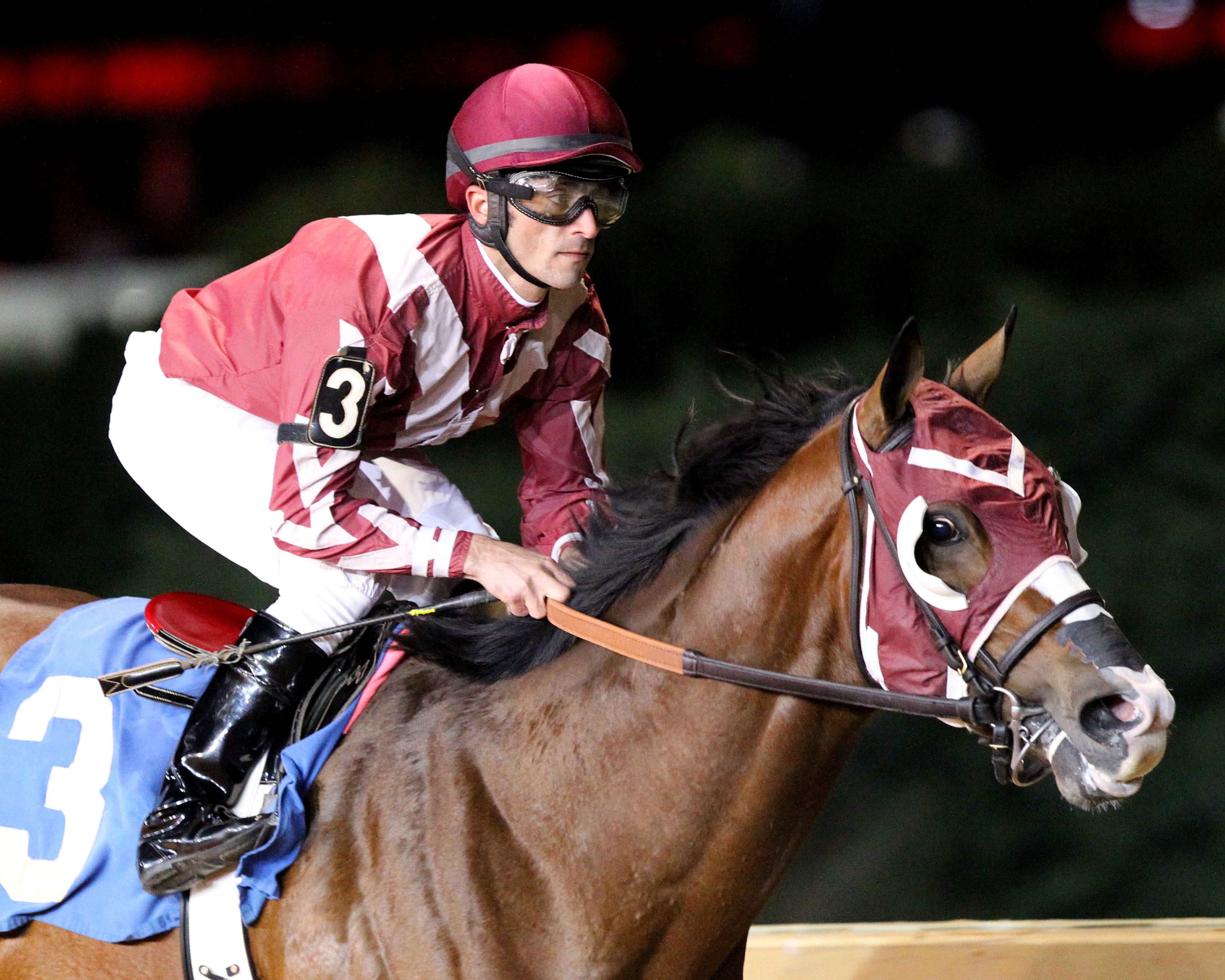 Rise Up wins the 2014 Robert Hilton Memorial
