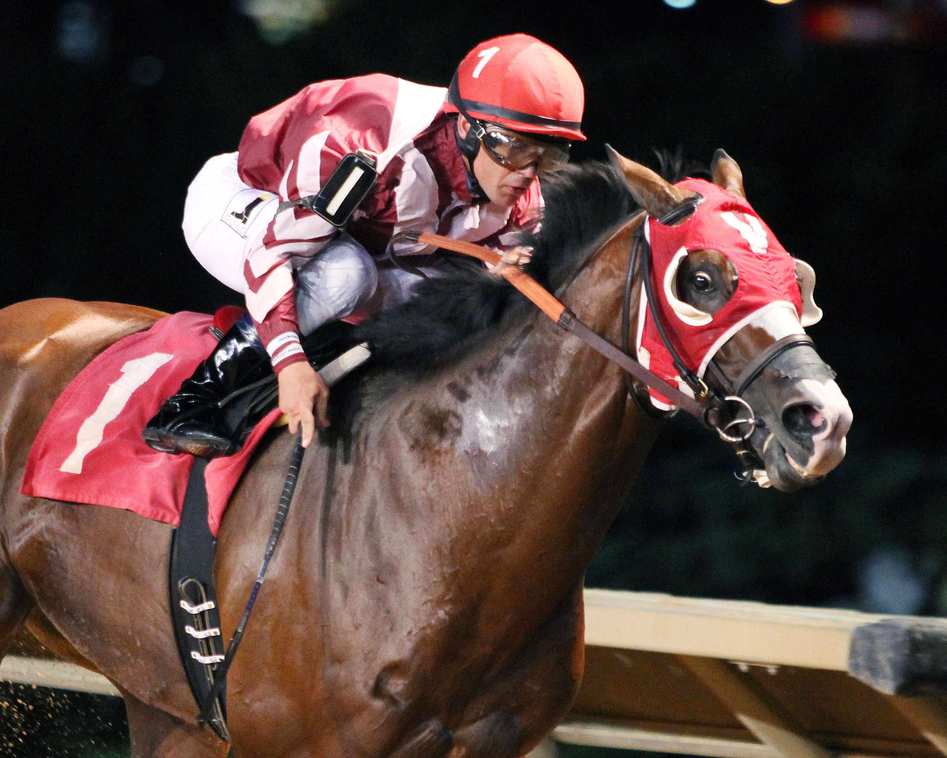 Rise Up wins the 2016 Wild and Wonderful Stakes