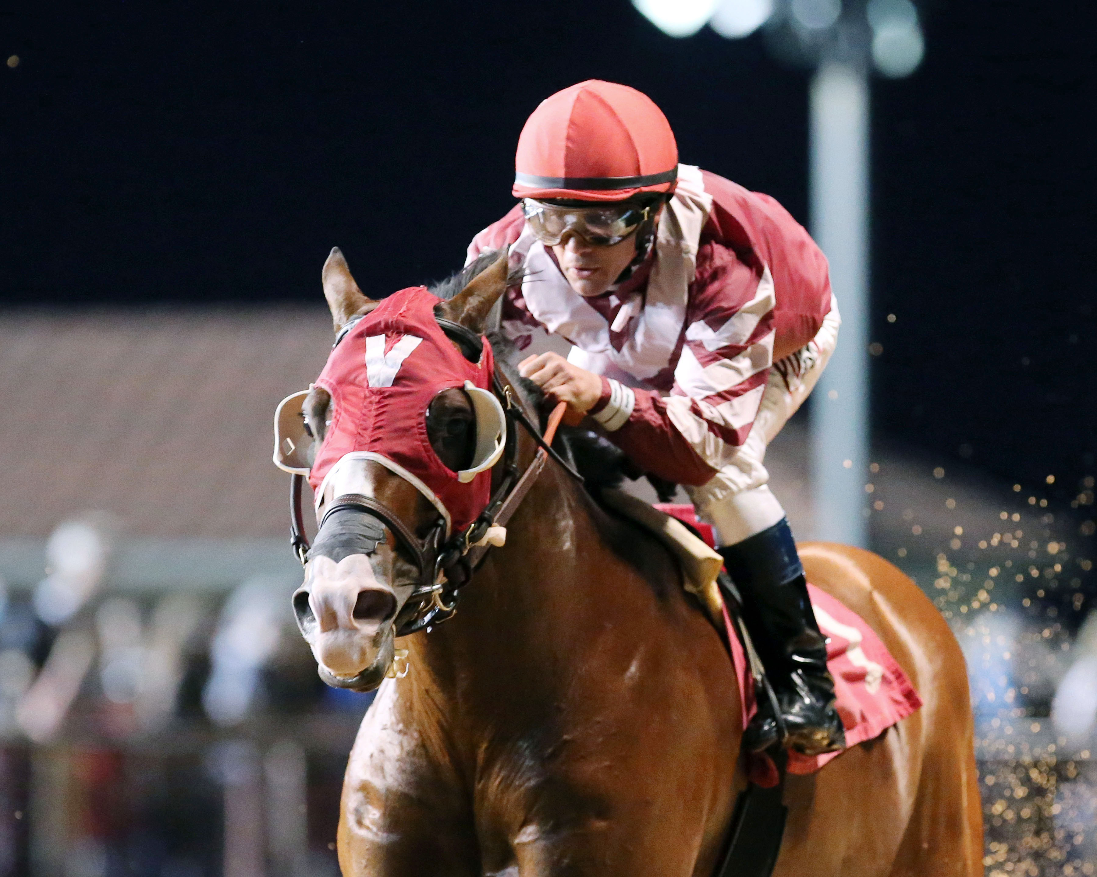 Rise Up wins the Wild & Wonderful Stakes