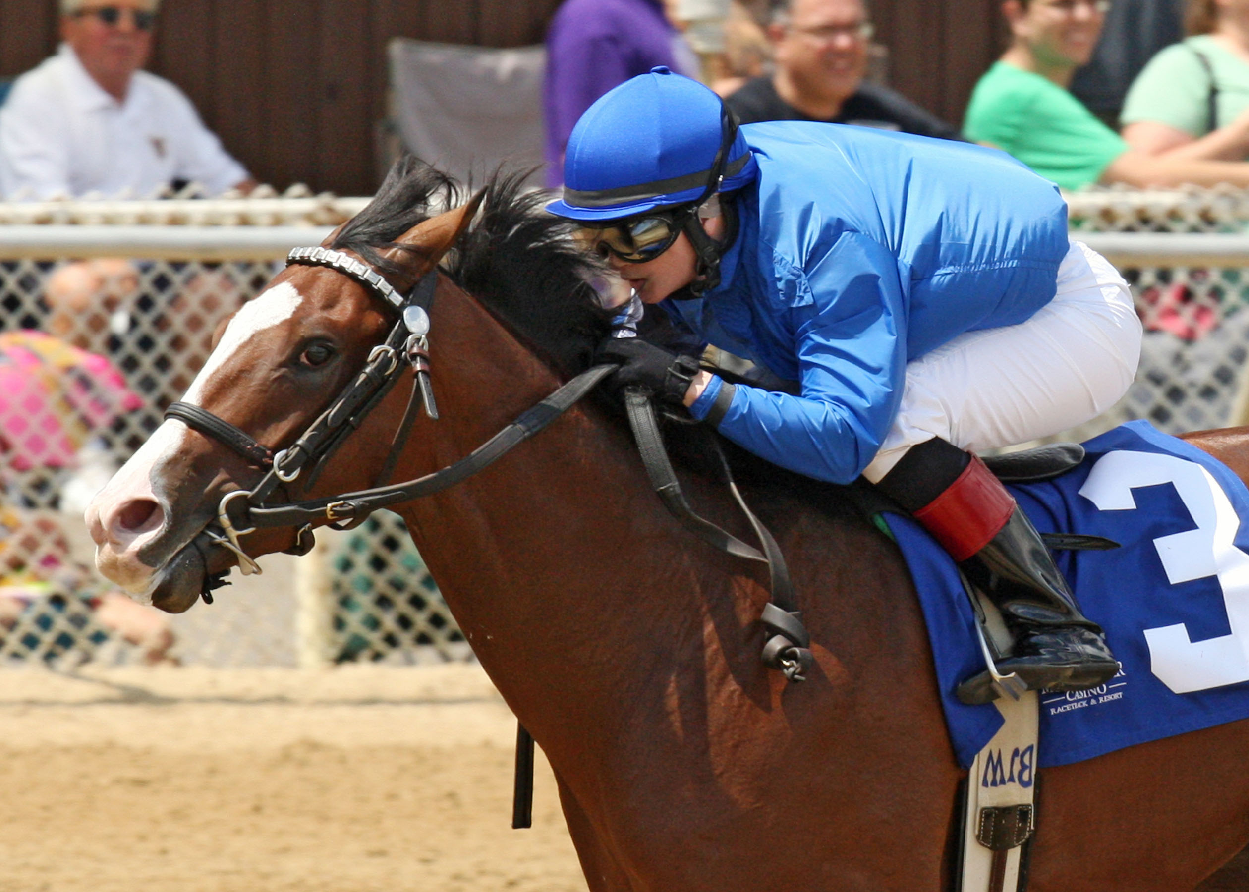 Rise Up, Mountaineer Juvenile Stakes