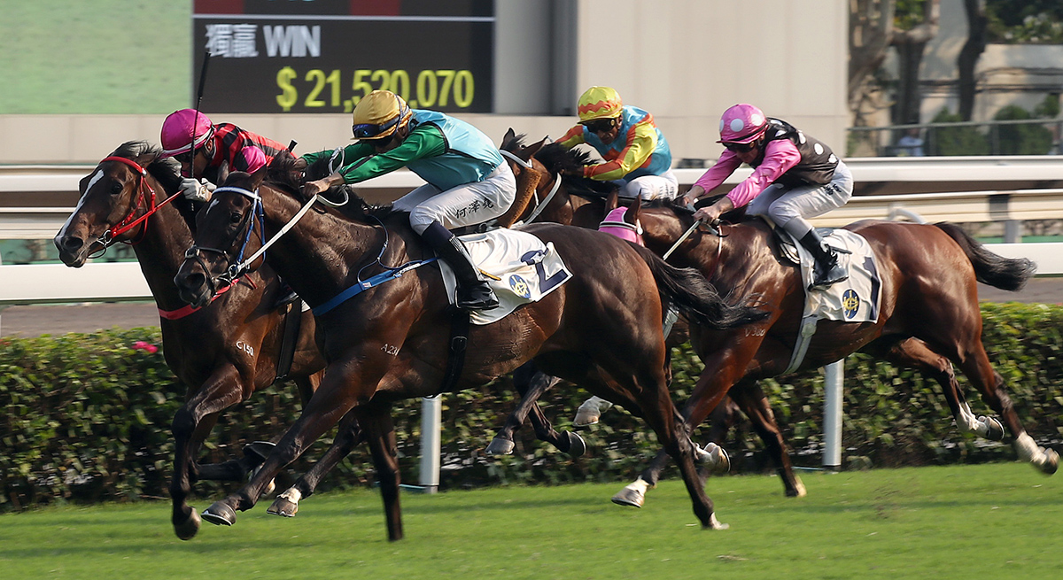 Rise High (No. 2) wins the 2019 Oriental Watch Sha Tin Trophy