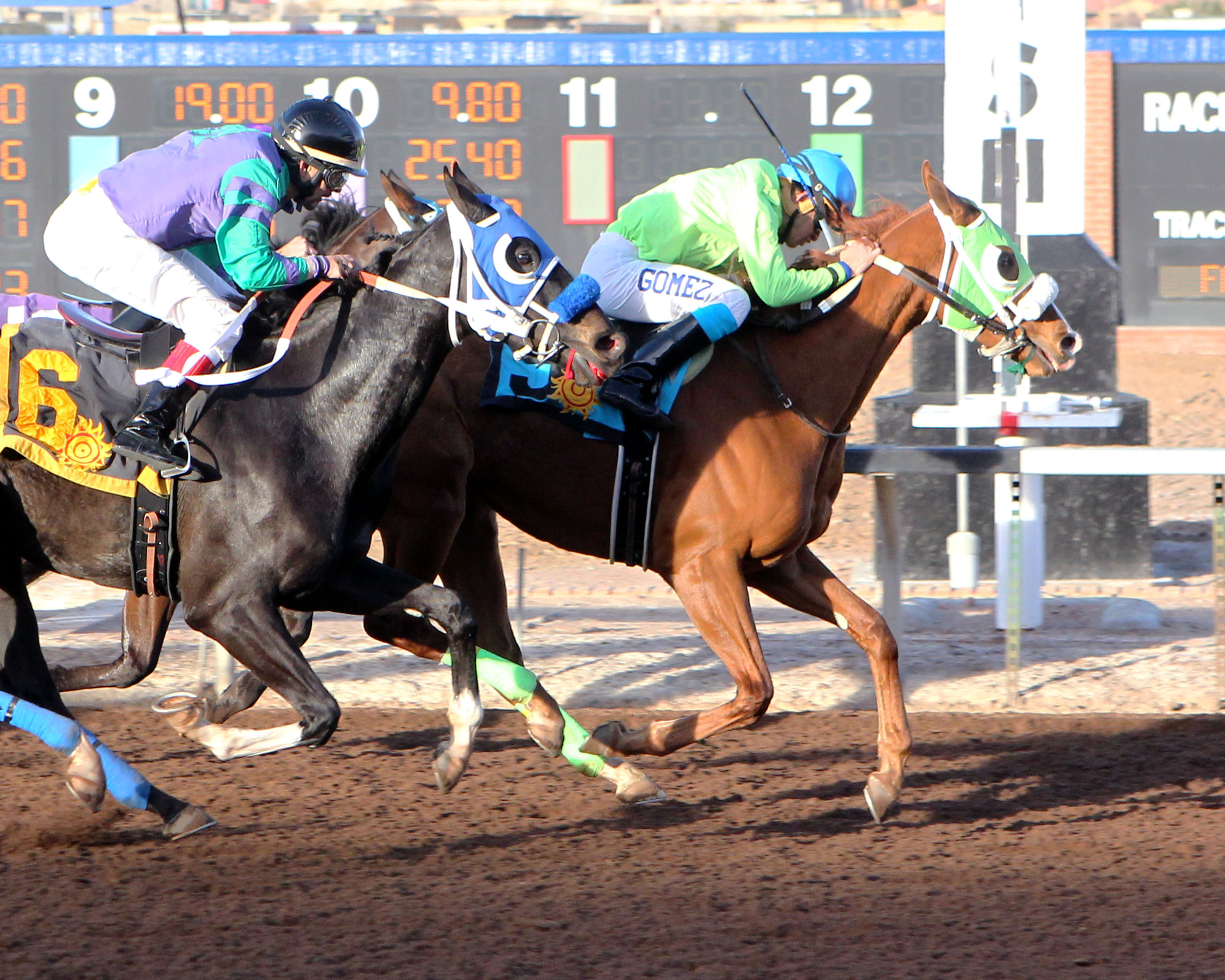 Rising Giant wins the Albert Dominguez Memorial Handicap