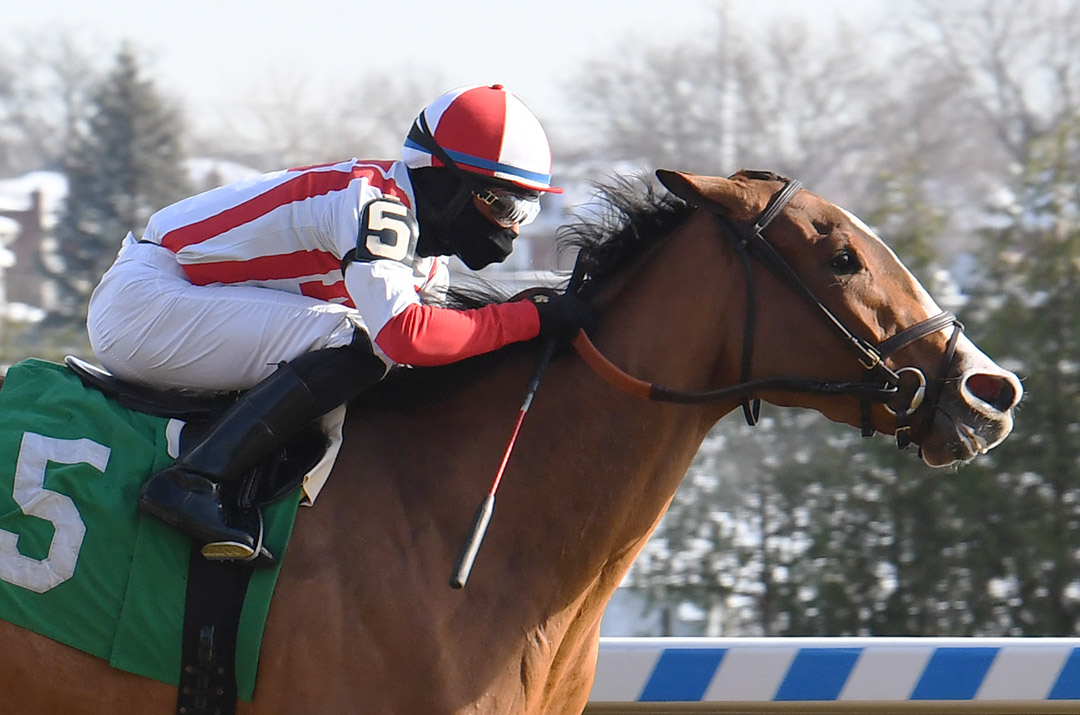 Risk Model wins a December 2020 maiden race at Aqueduct Racetrack