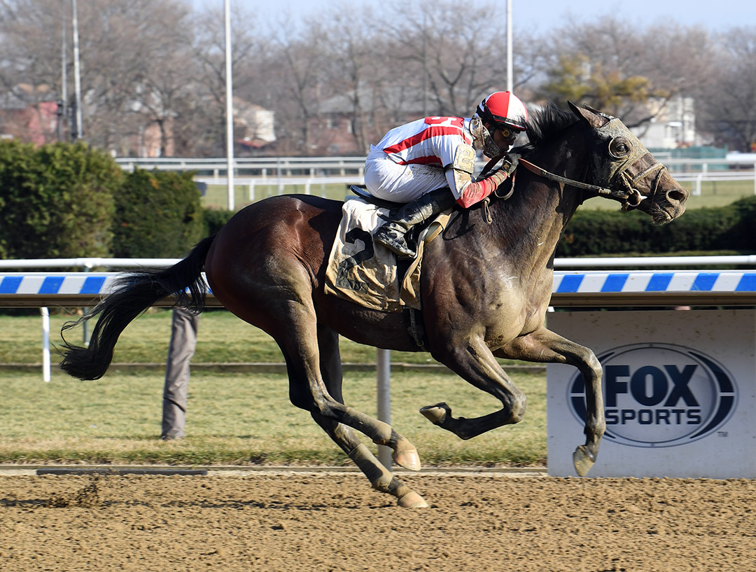Risk Taking wins a Dec. 13 maiden race at Aqueduct