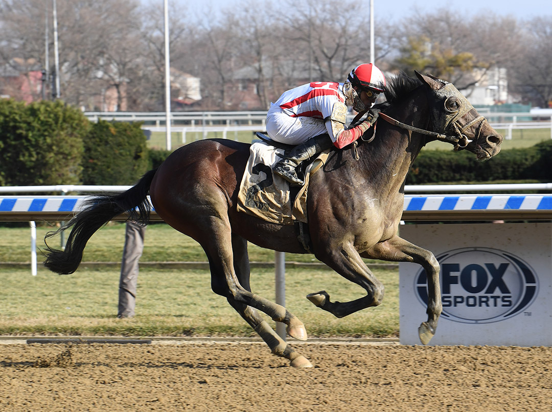 Risk Taking wins a Dec. 13 maiden race at Aqueduct