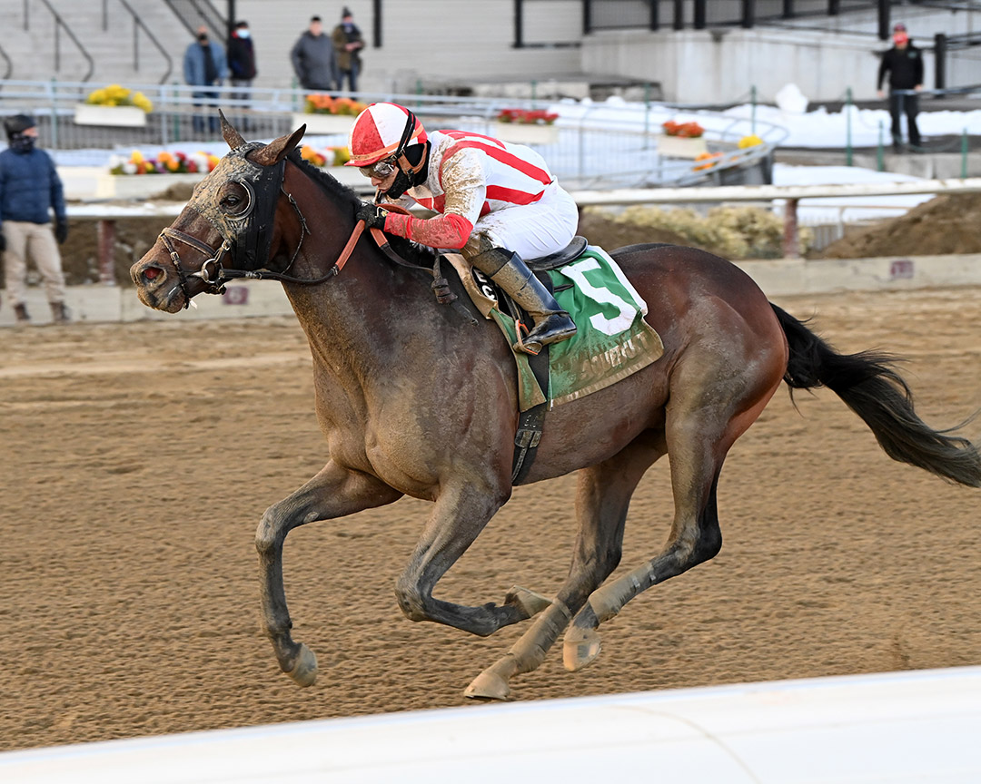 Risk Taking wins the 2021 Withers Stakes at Aqueduct