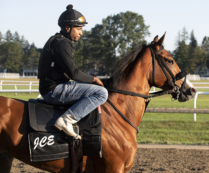 Risky Mischief at Saratoga Race Course on Aug. 29