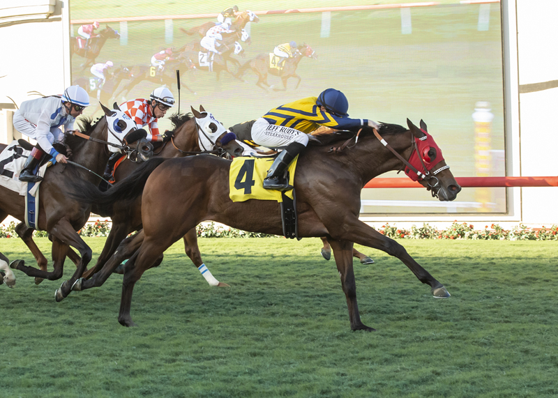 Risky Proposition wins the 2018 Let It Ride Stakes