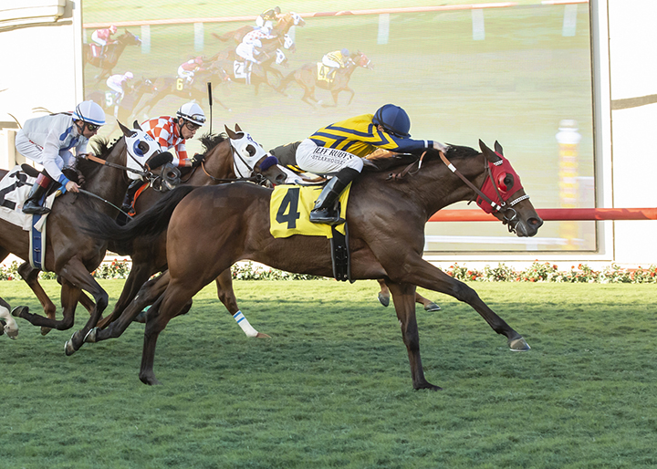 Risky Proposition wins the 2018 Let It Ride Stakes