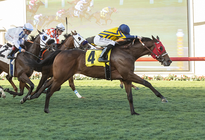 Risky Proposition wins the 2018 Let It Ride Stakes