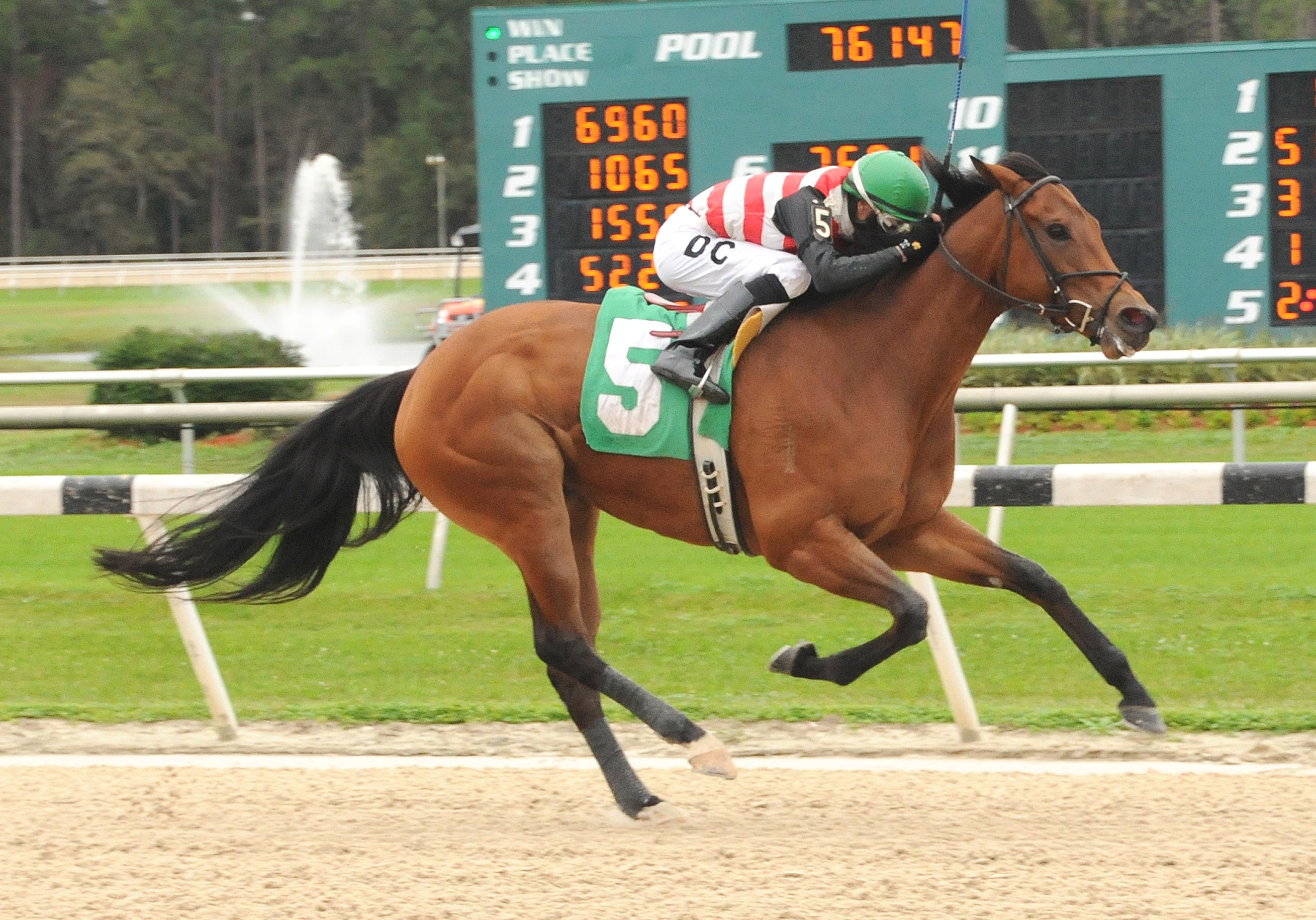 Risky Rachel, Manatee Stakes