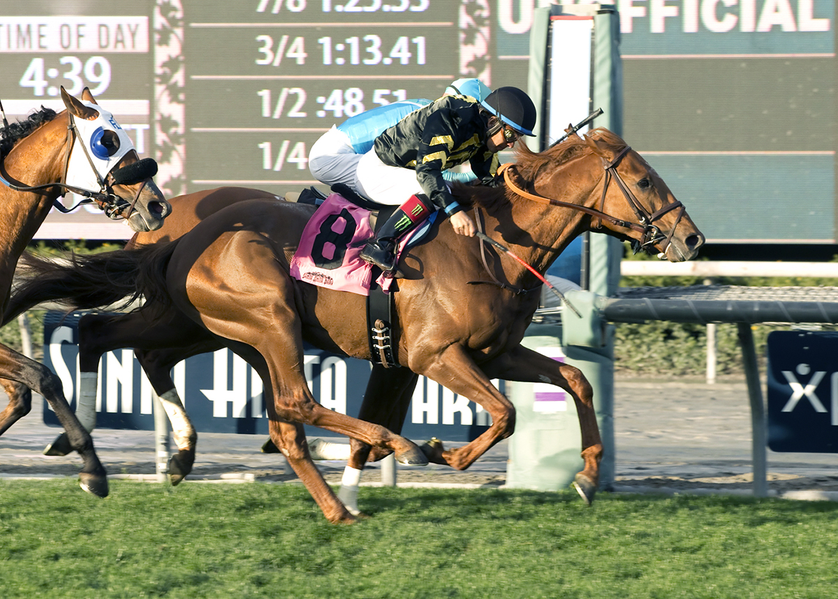 Ritzy A. P. wins a Feb. 11, 2017 maiden race
