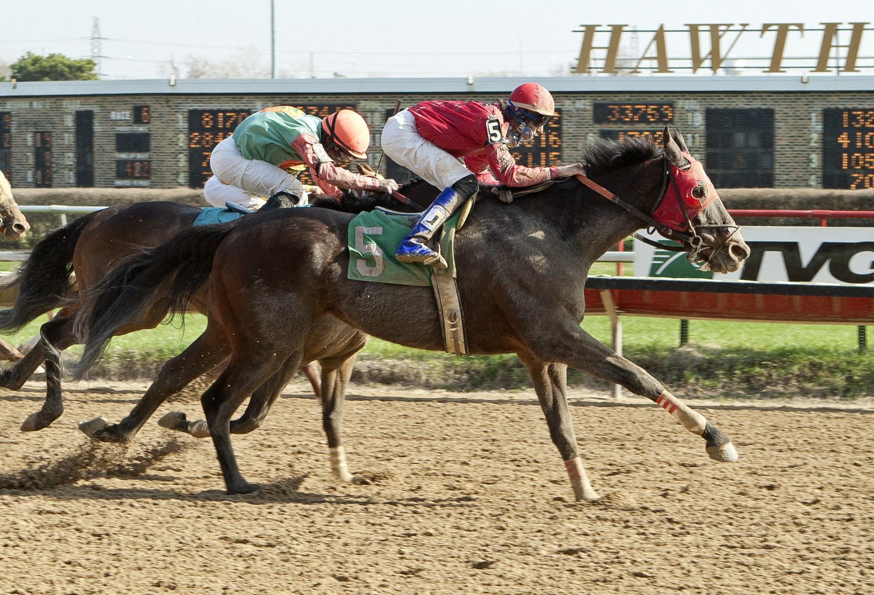 River Bear wins the Robert Molaro Handicap