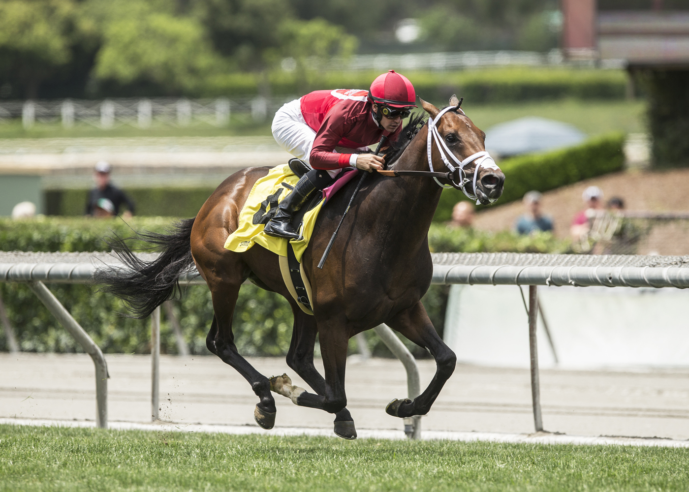 River Boyne wins 2018 Rainbow