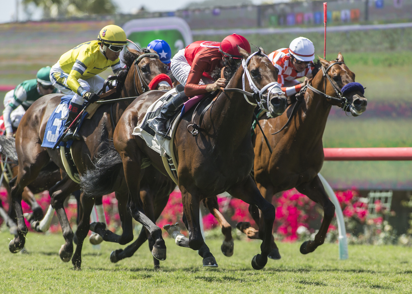 River Boyne wins 2018 La Jolla Handicap