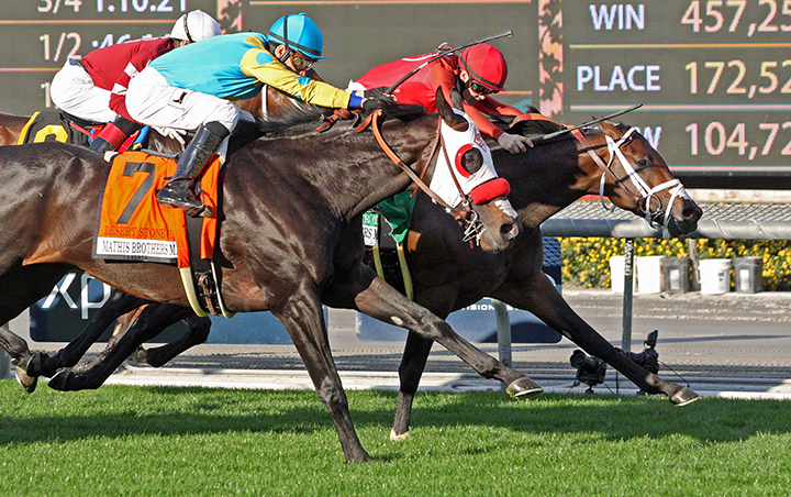 River Boyne wins the 2018 Mathis Brothers Mile