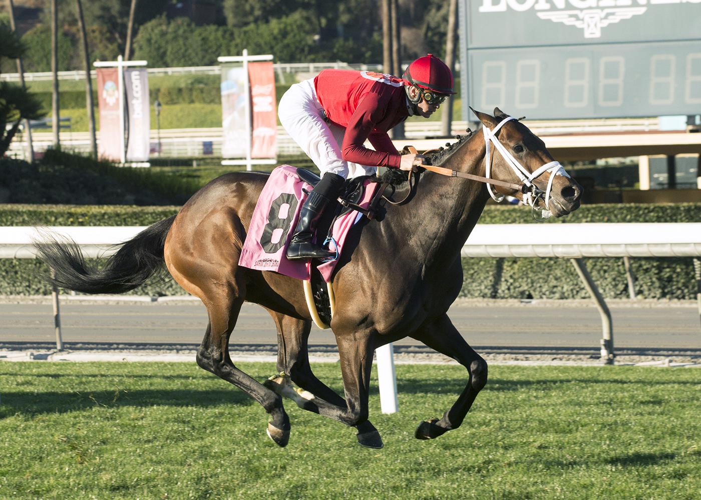 River Boyne wins a Feb. 8 allowance race