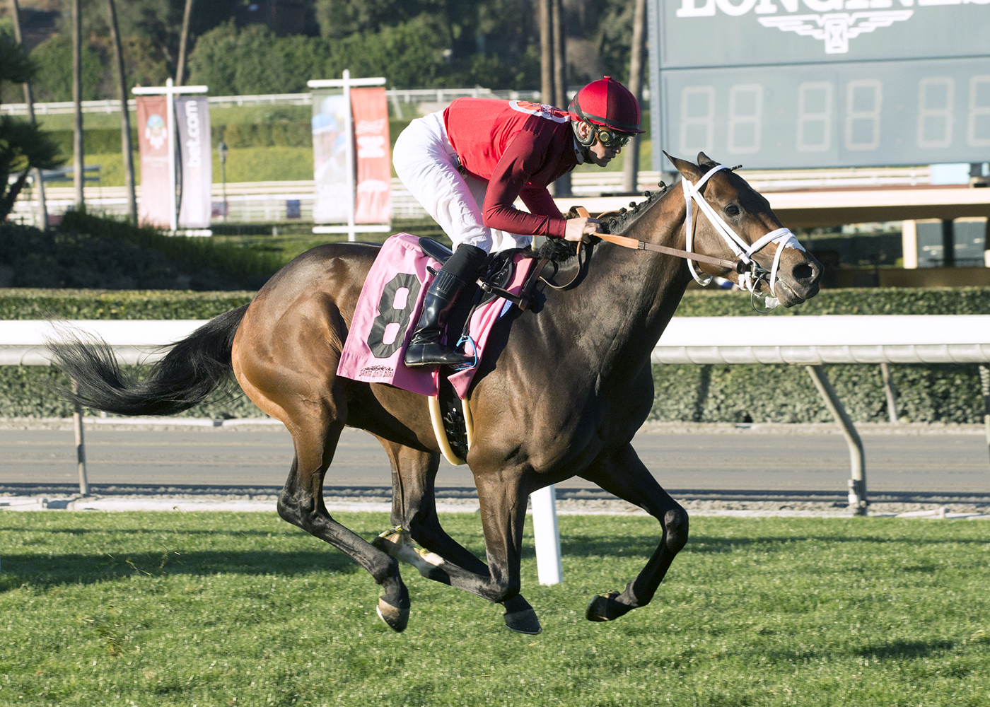 River Boyne wins a Feb. 8 allowance race