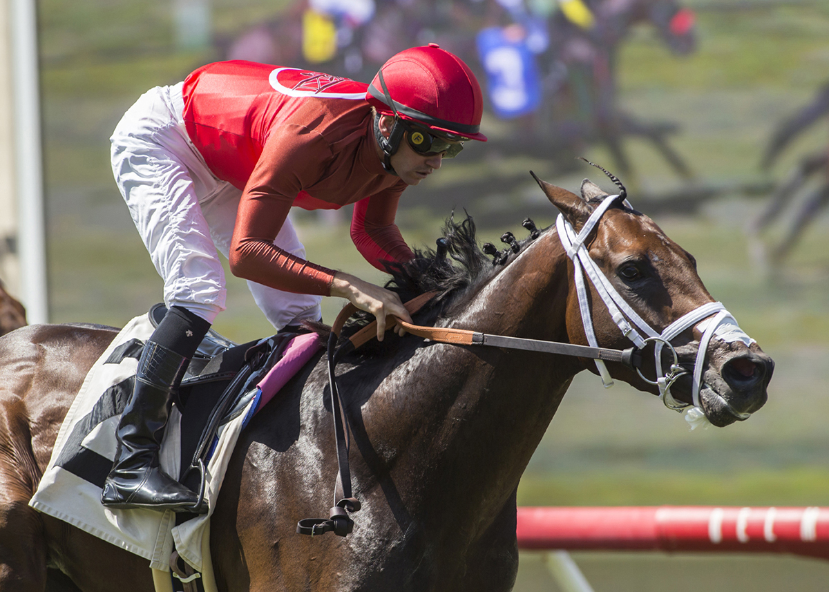 River Boyne wins the 2018 La Jolla Handicap