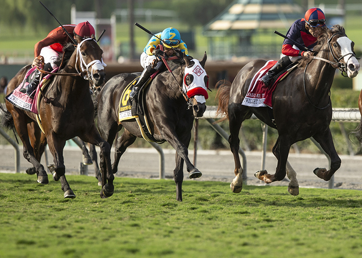 Desert Stone finishes third in the Twilight Derby