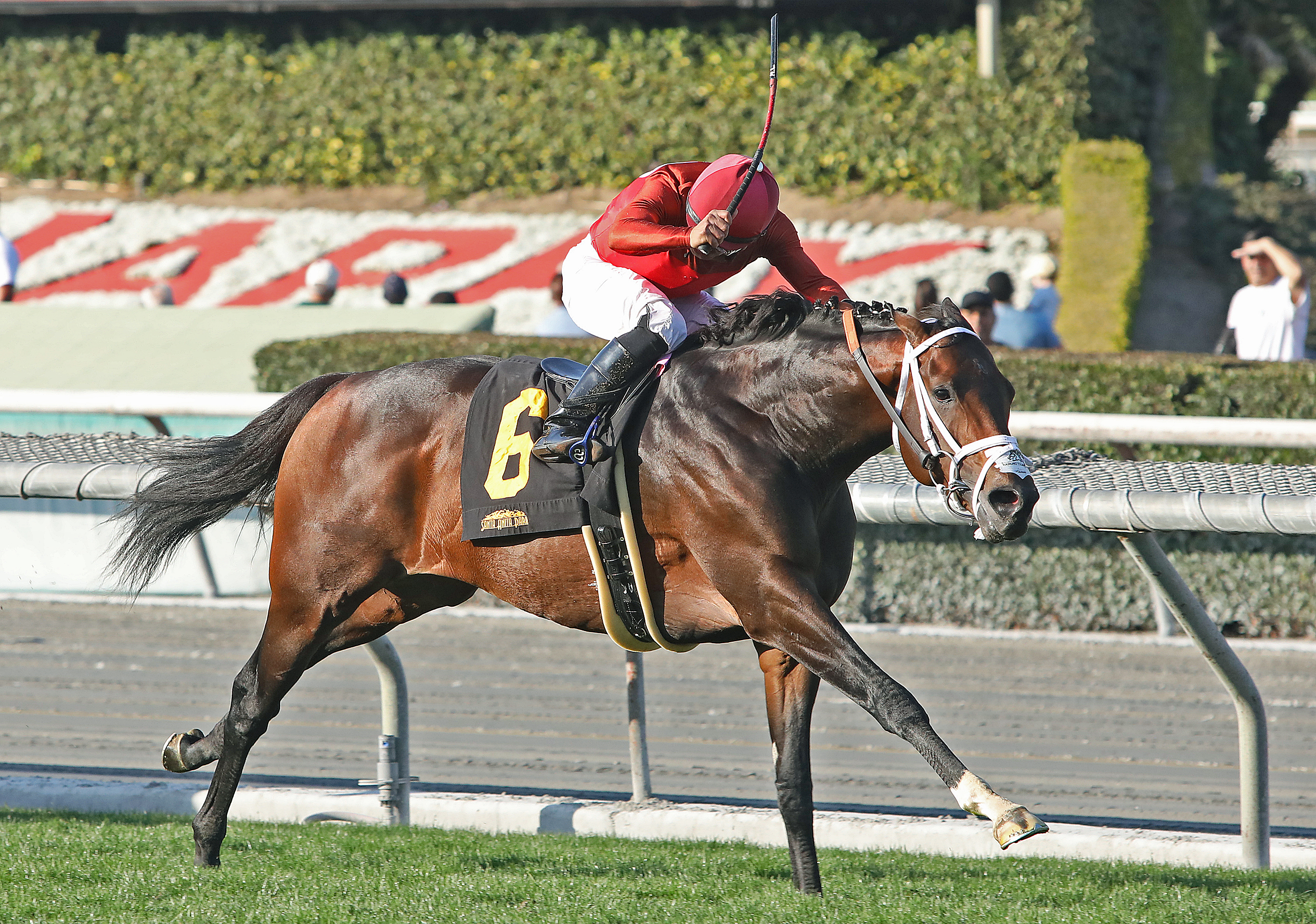 River Boyne wins the 2020 Thunder Road Stakes