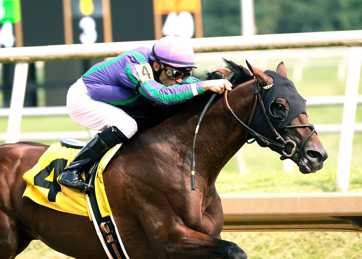 River Deep wins the Hansel Stakes