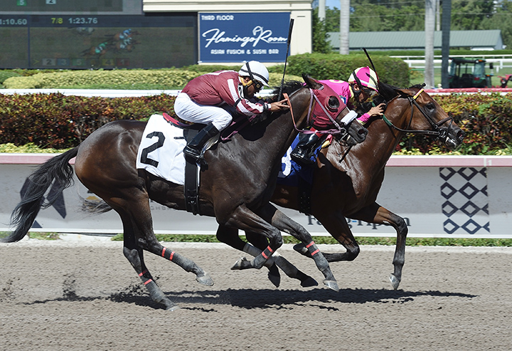 River Front wins a May 19 maiden race
