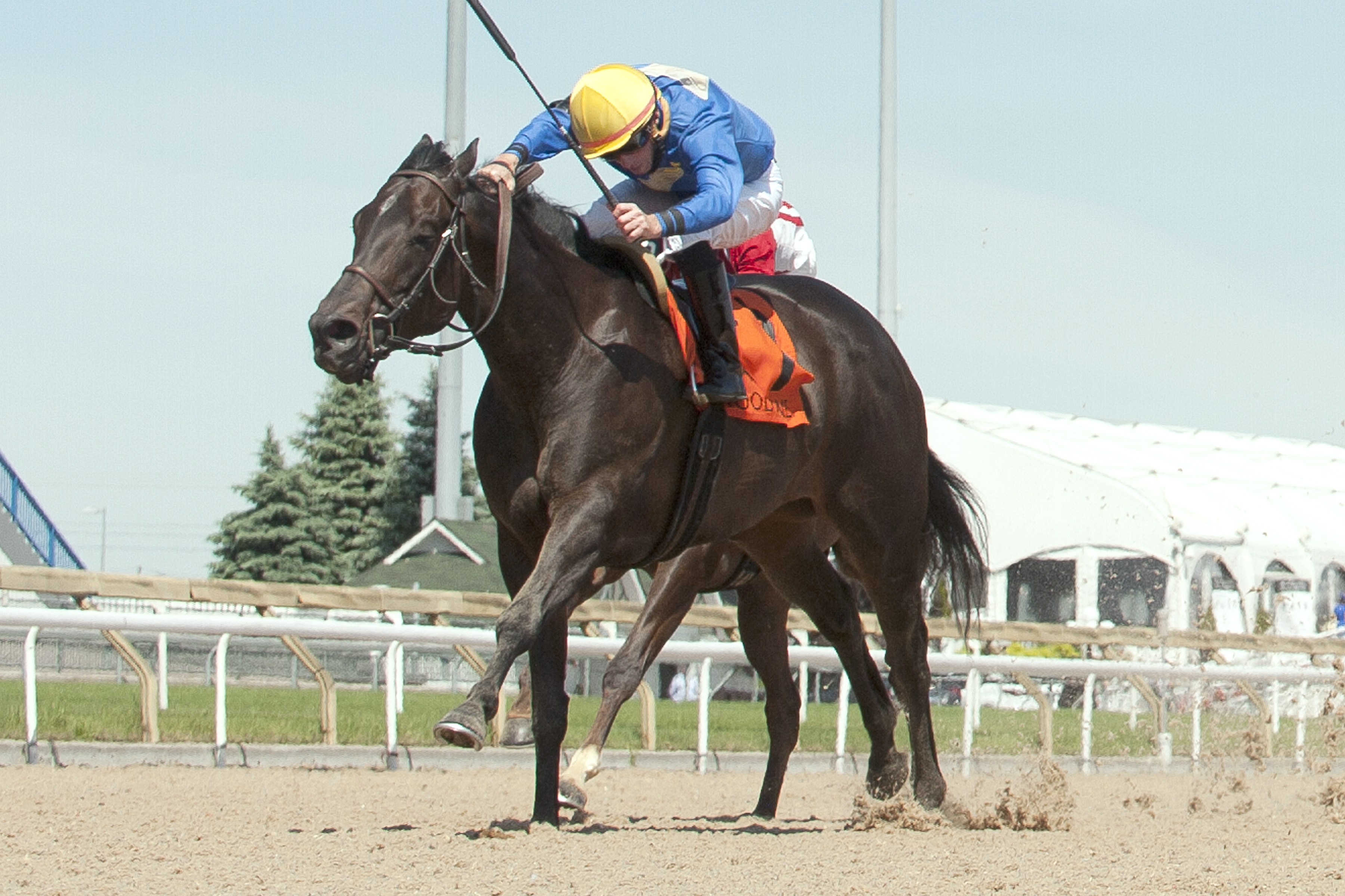 River Maid wins the Ballade Stakes
