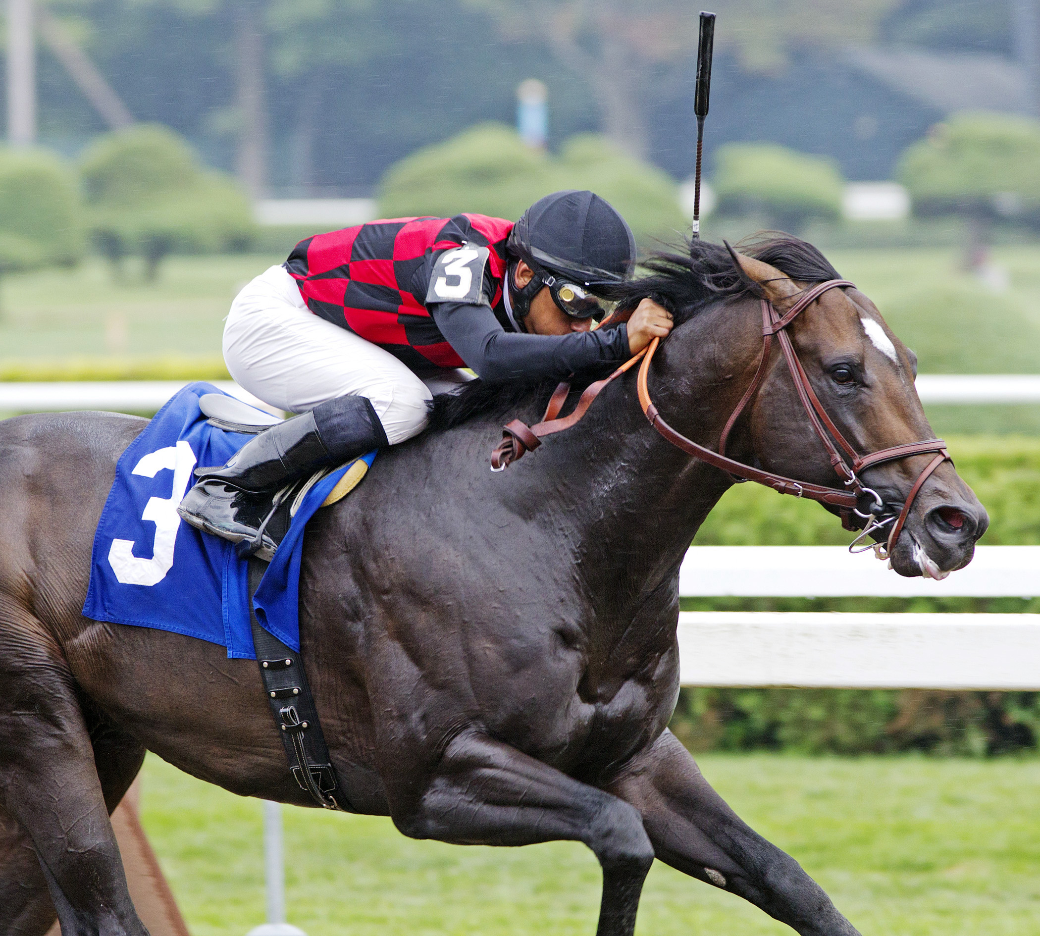 River Rocks wins an allowance race