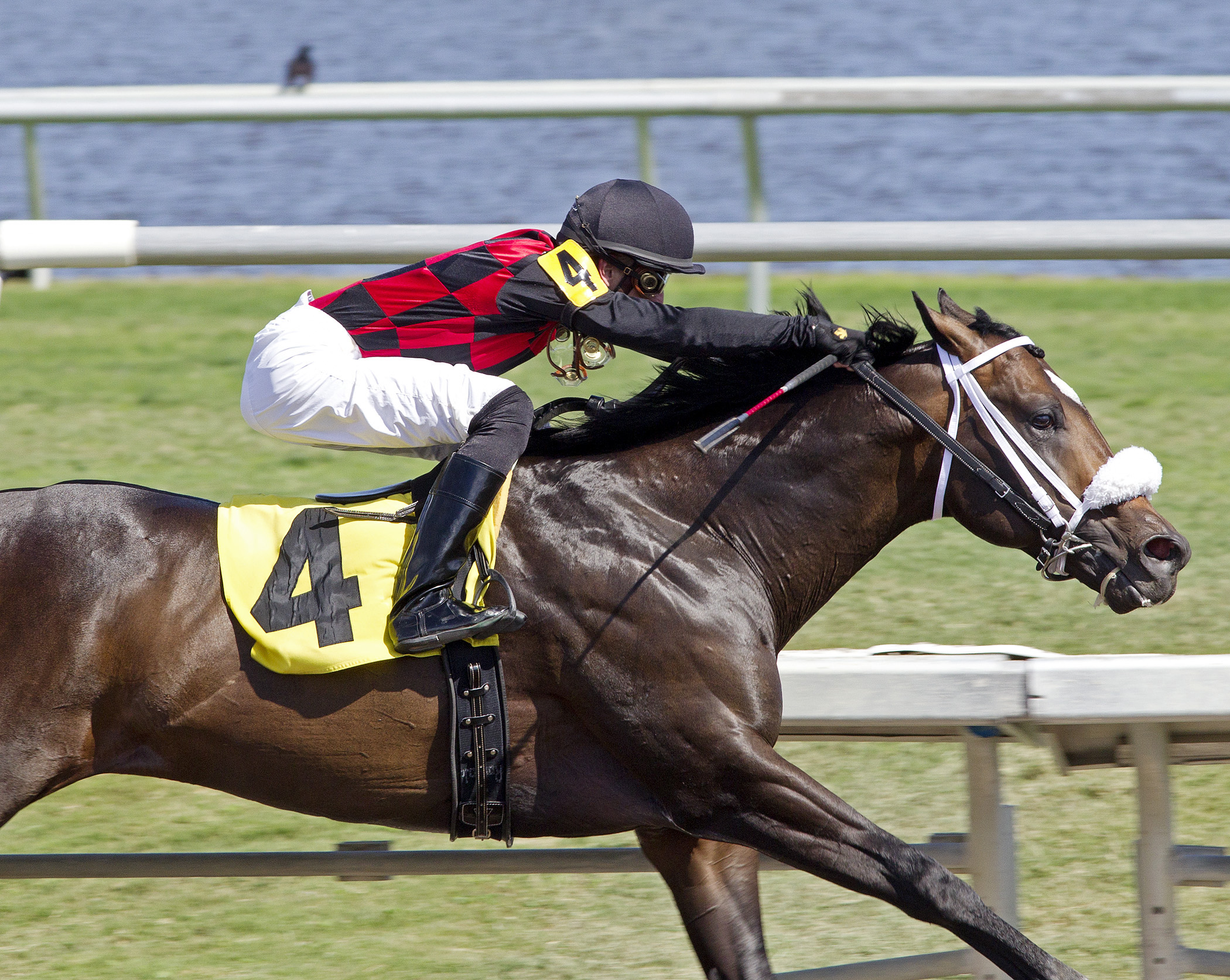 Byron King: River Rocks, Ground Transport have appeal in 3-year-old stakes