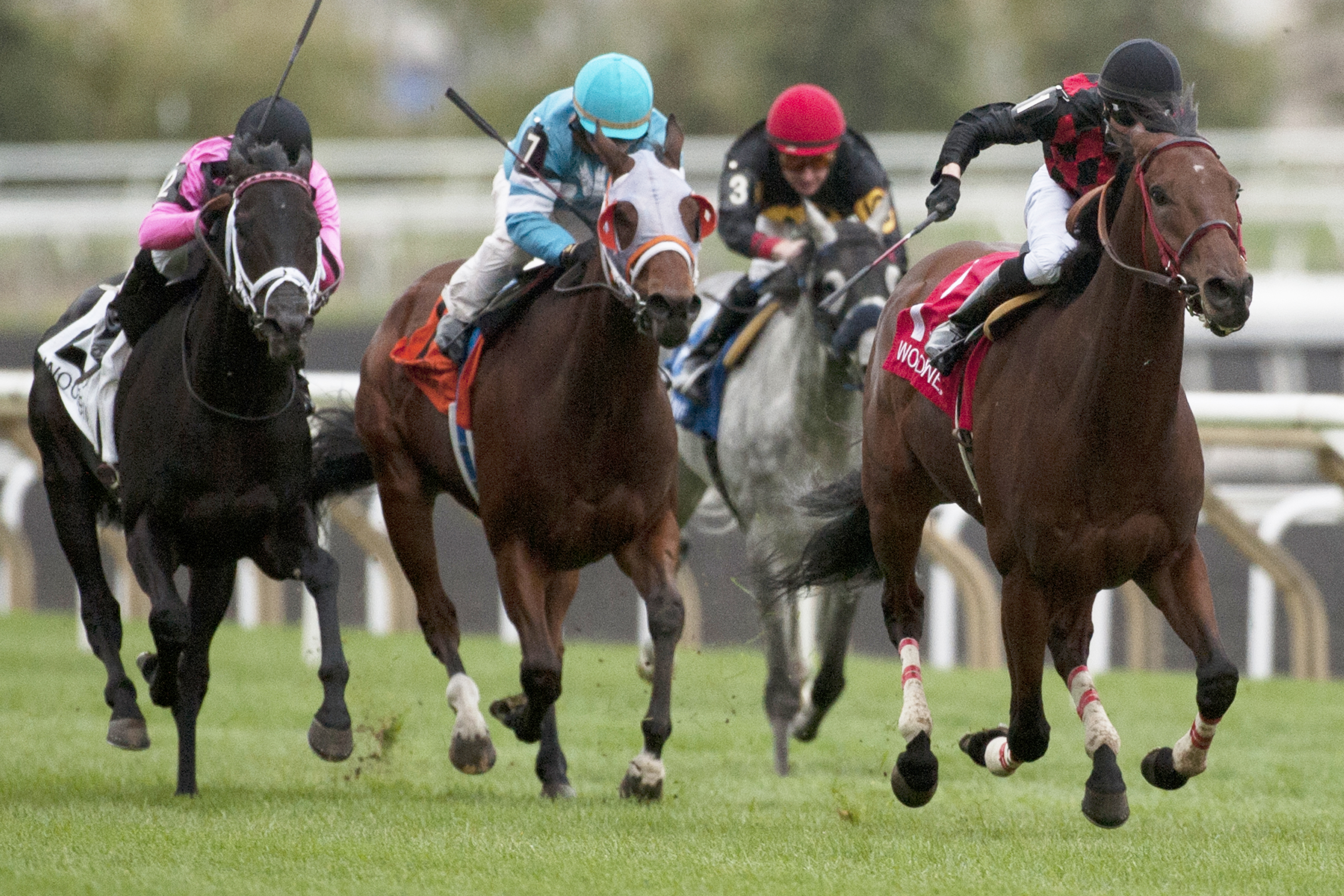 River Seven wins the Labeeb Stakes