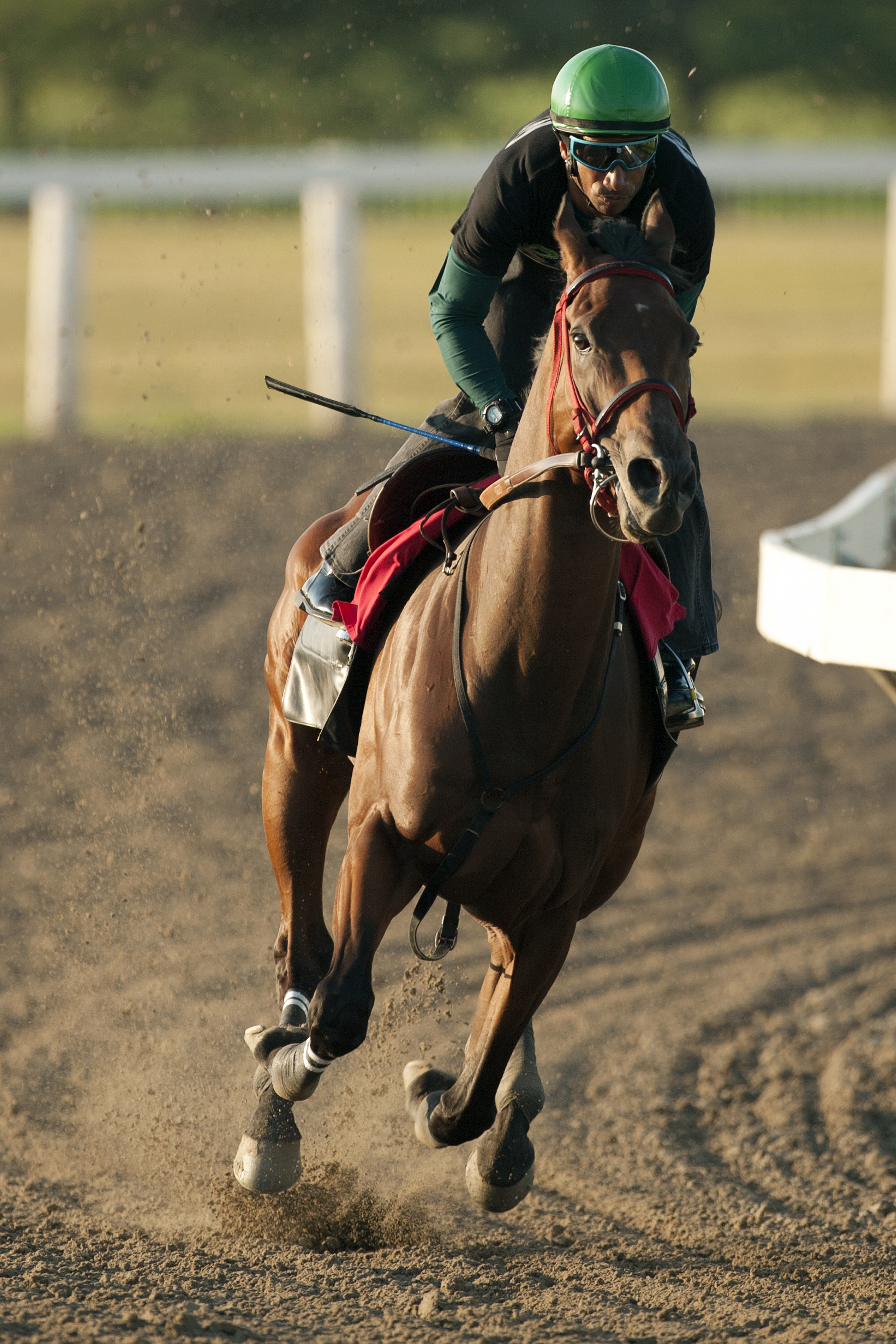 River Seven trains at Woodbine in September