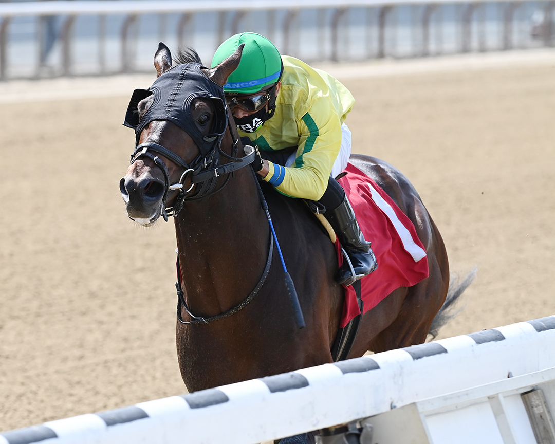 River Dog wins a May 2 maiden race at Belmont Park