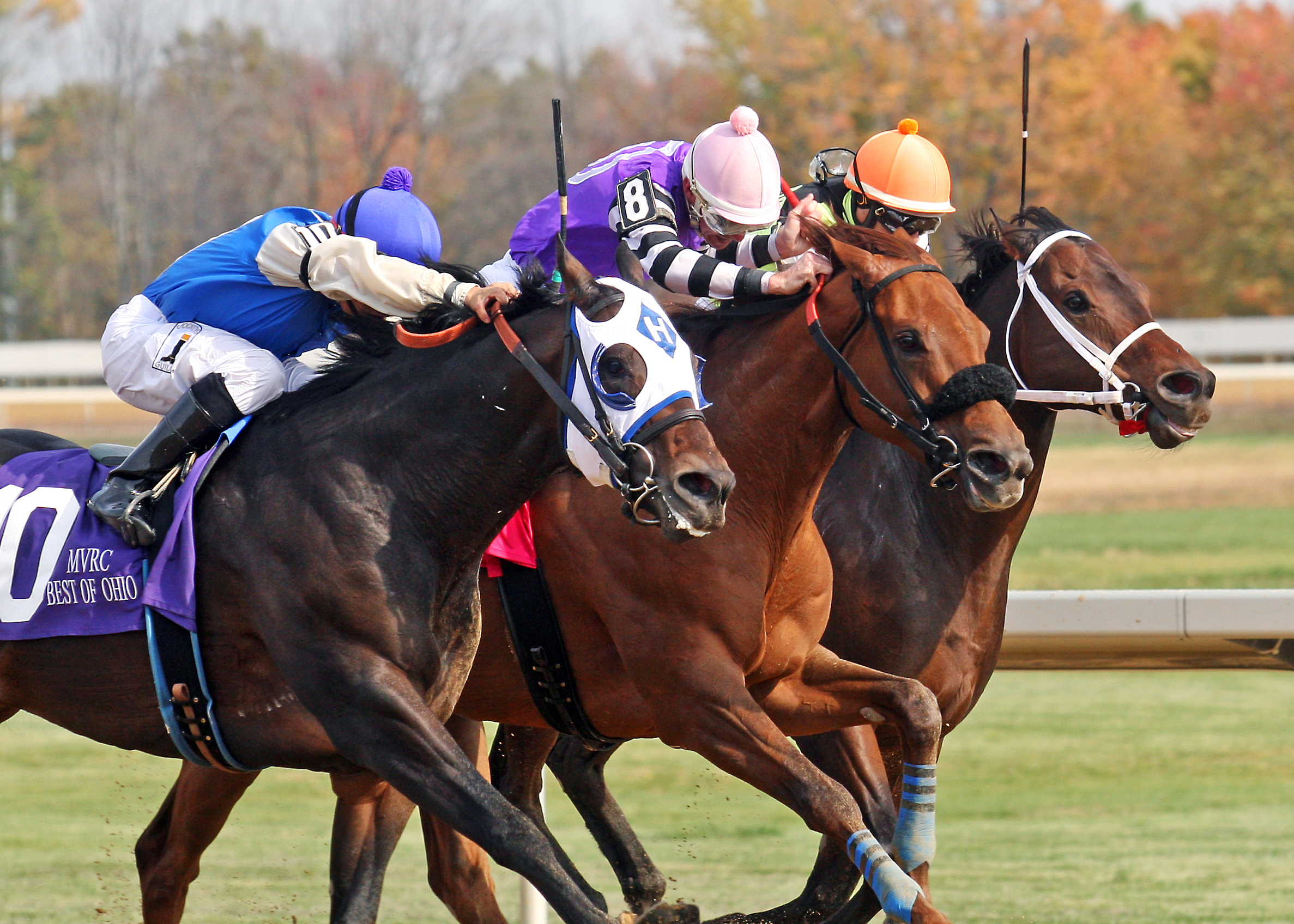 Rivers Run Deep wins the Best of Ohio Sprint Stakes