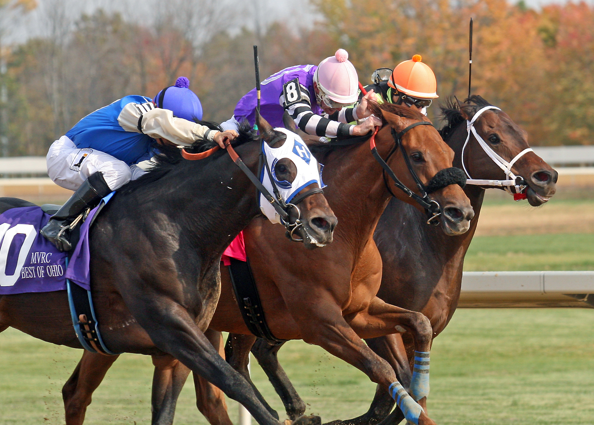 Rivers Run Deep wins the 2016 Best of Ohio Sprint Stakes