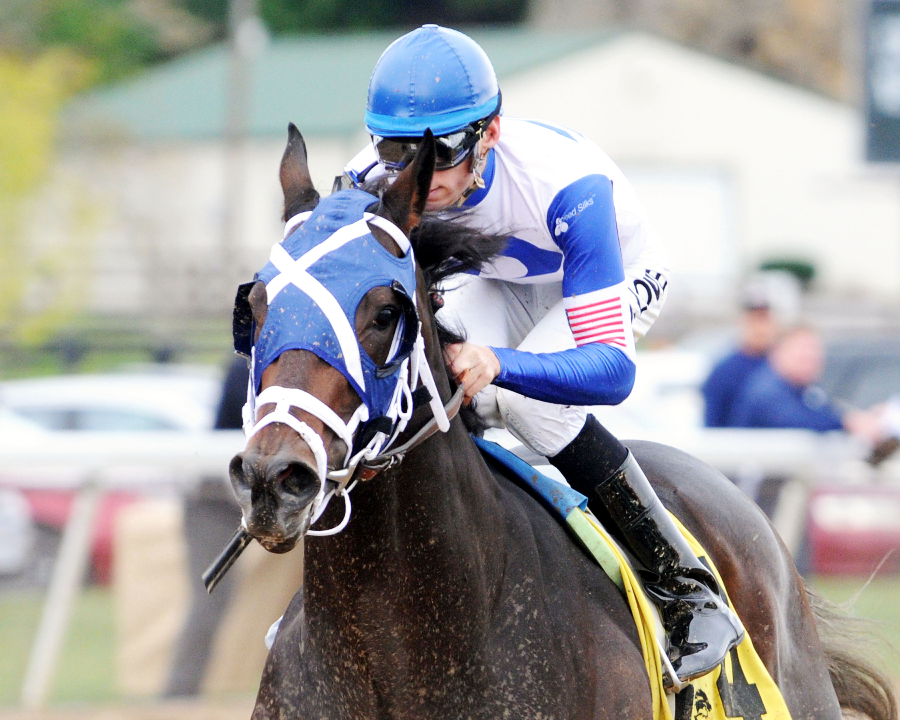 Rivers Run Deep wins the Ohio Sprint