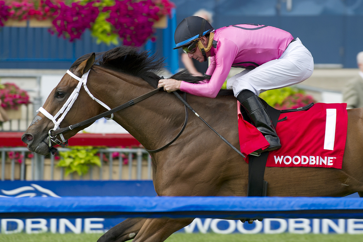 Road to Victory wins the 2018 Alywow Stakes