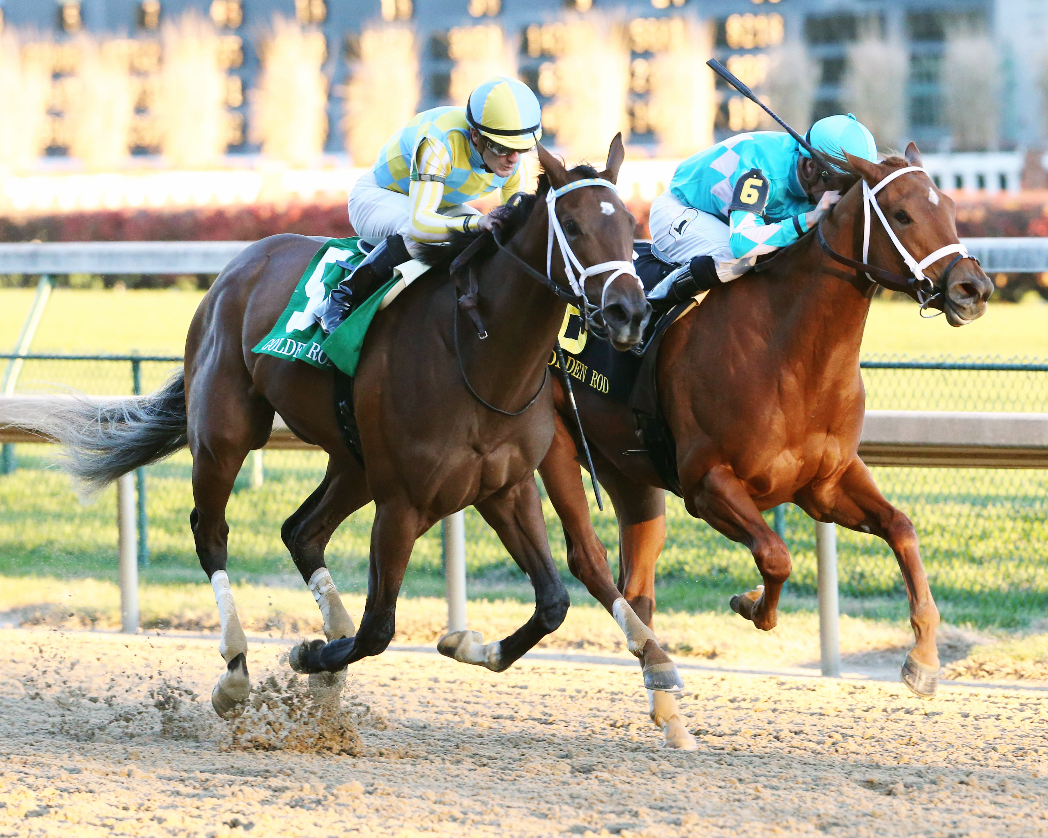 Monomoy Girl finishes second in the Golden Rod