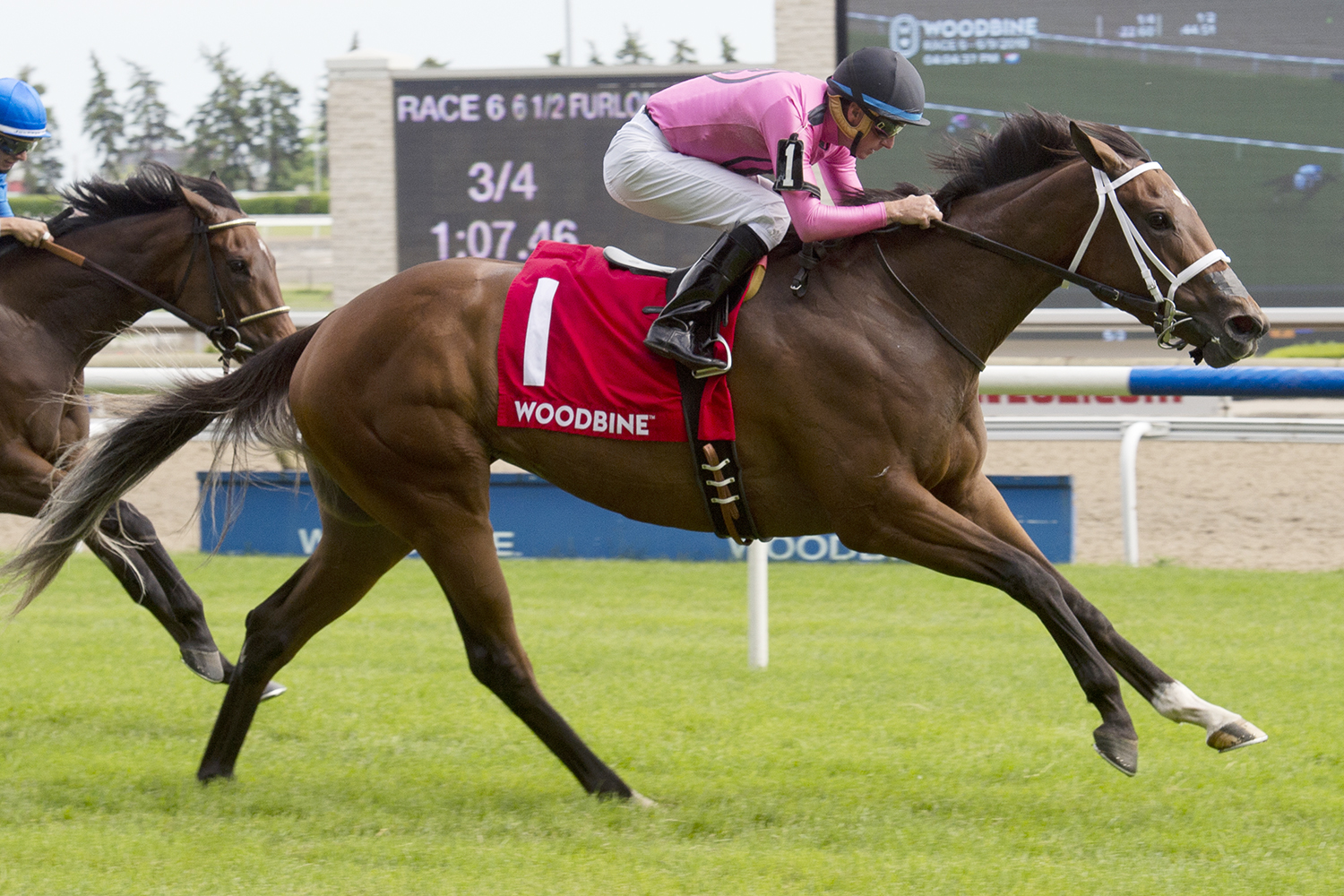 Road to Victory wins the 2018 Alywow Stakes