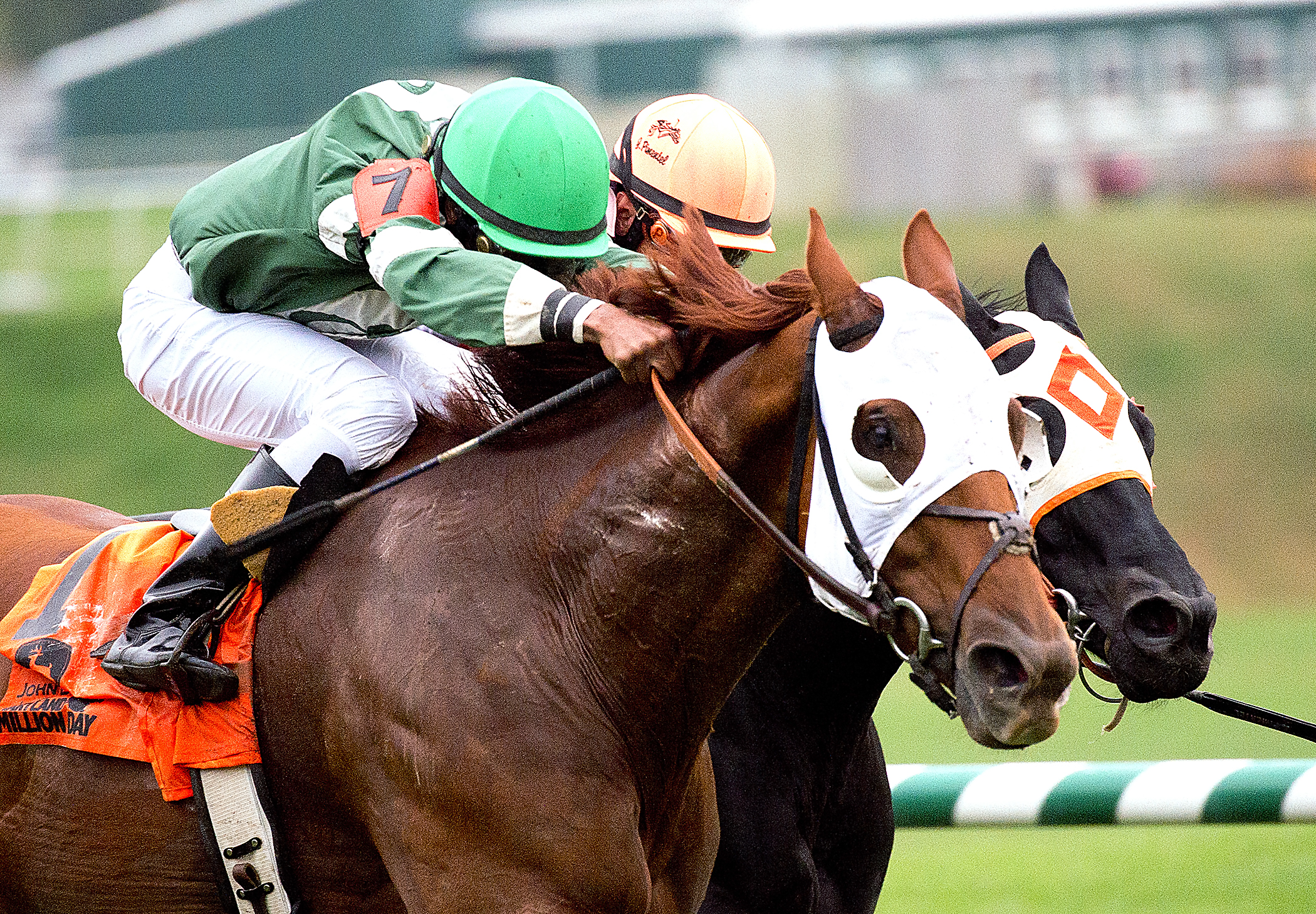 Roadhog wins the 2013 Maryland Million Turf Stakes