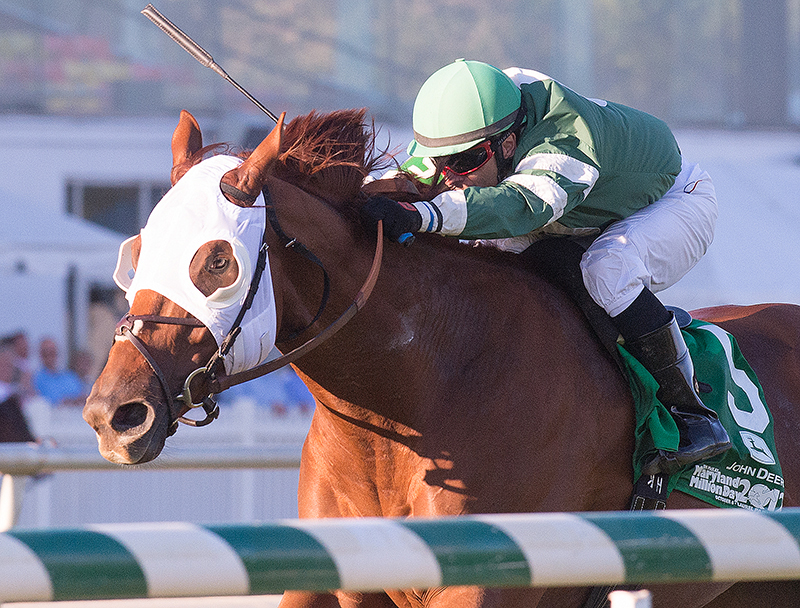 Roadhog, Jim McKay Maryland Million Turf