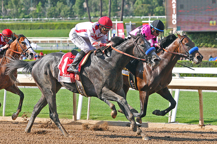 Roadster wins the 2019 Santa Anita Derby