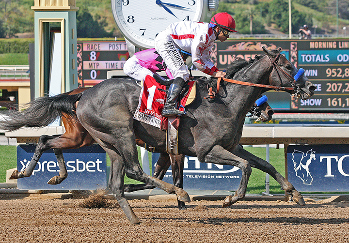 Roadster wins the 2019 Santa Anita Derby