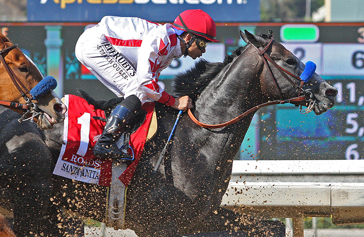 Roadster wins the 2019 Santa Anita Derby