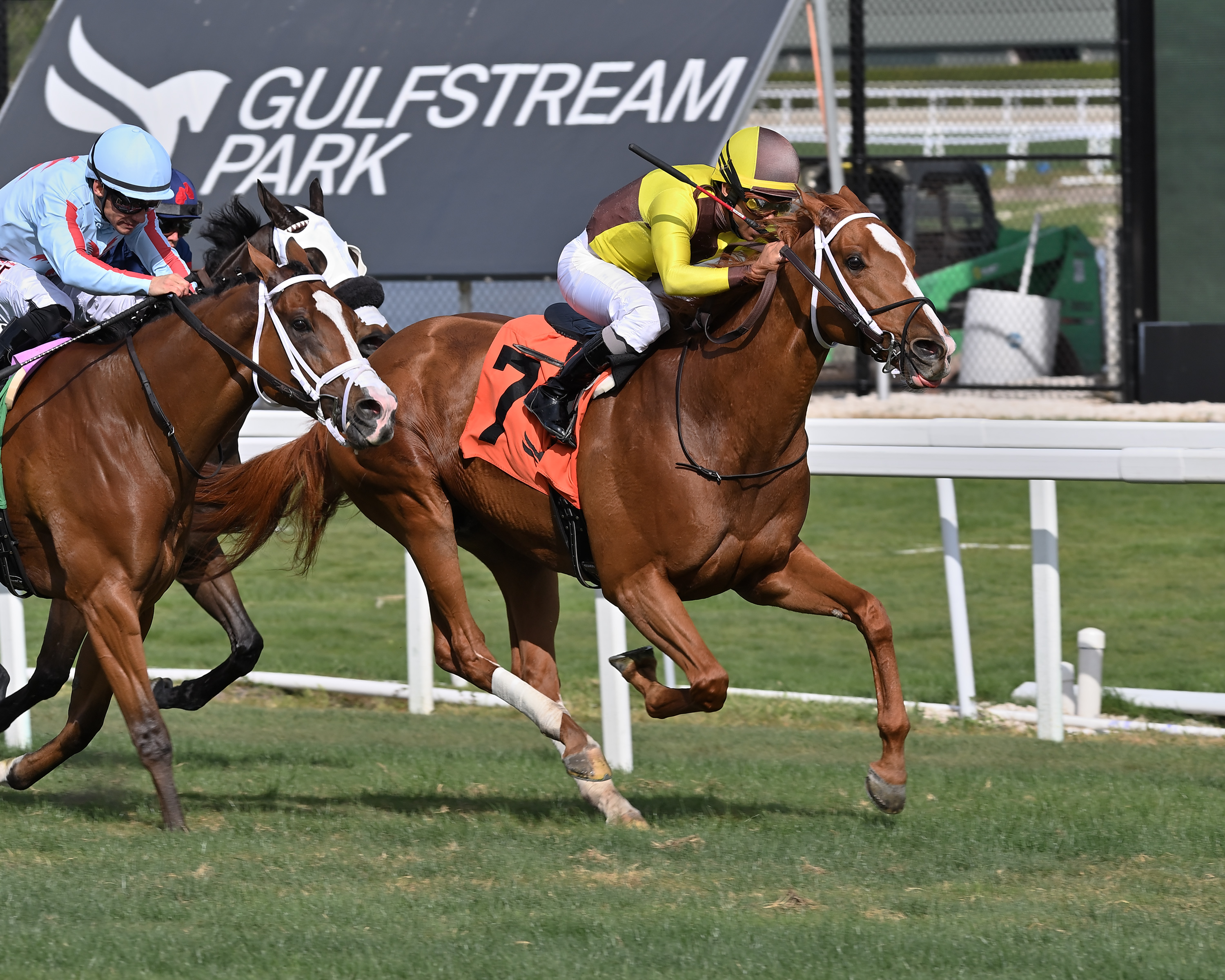 Roaring Forties - Sunshine Turf S. 2023