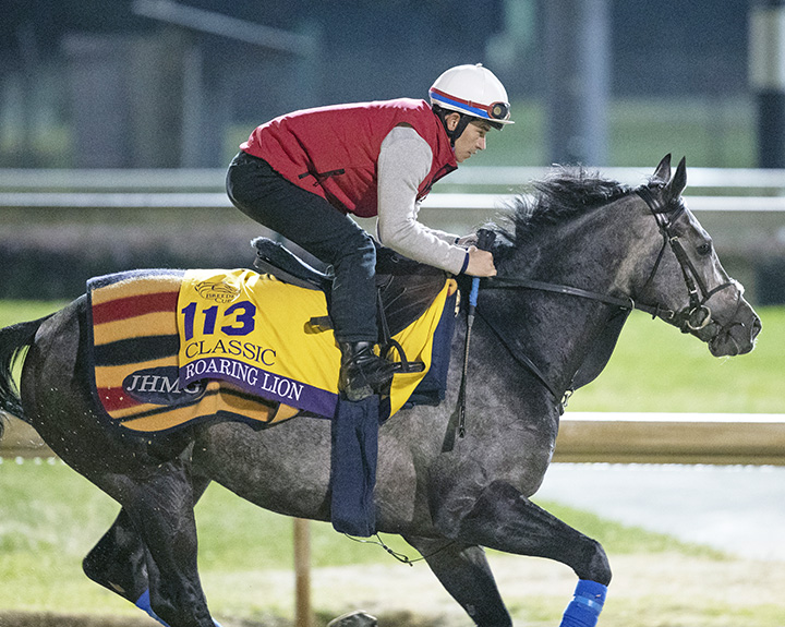 Roaring Lion trains at Churchill Downs before the Breeders' Cup