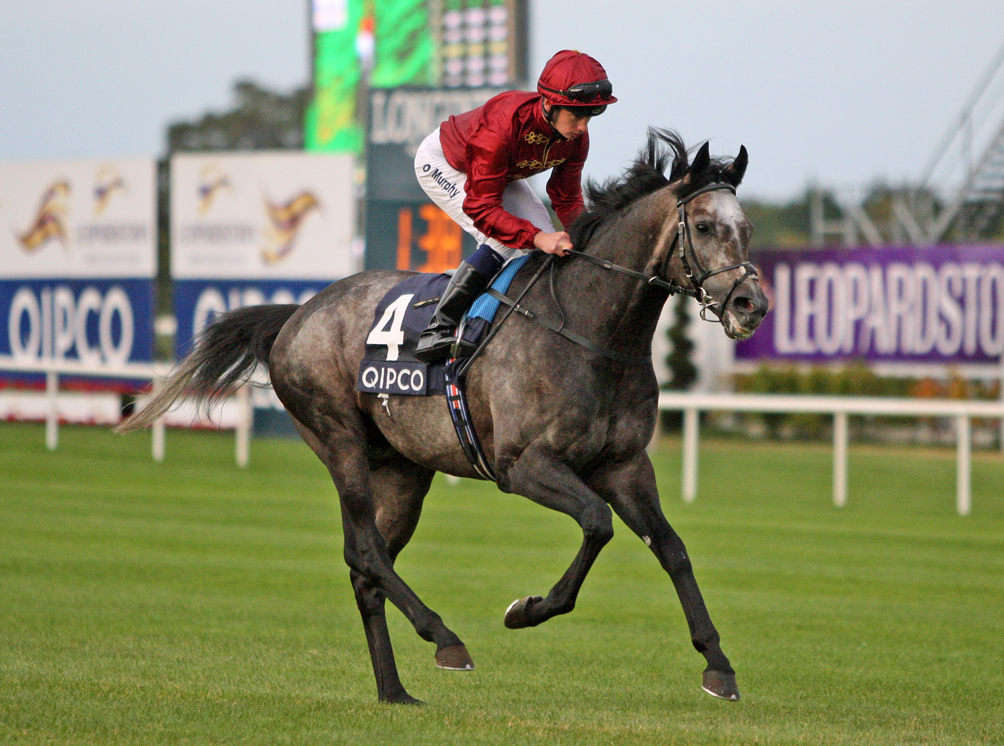 Roaring Lion